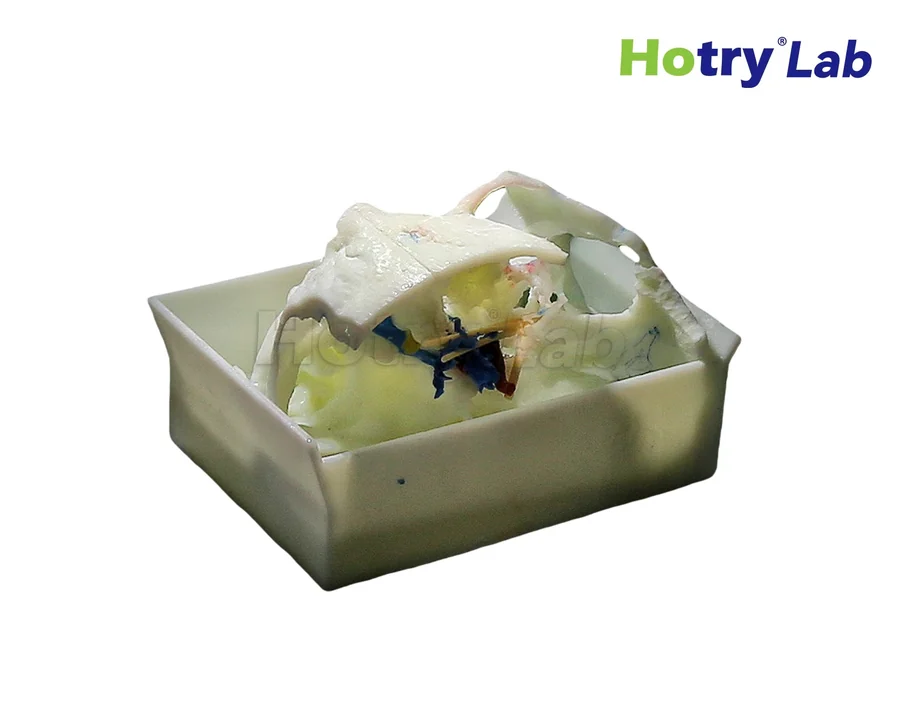 Mô hình đào tạo phẫu thuật nền sọ HC-SK